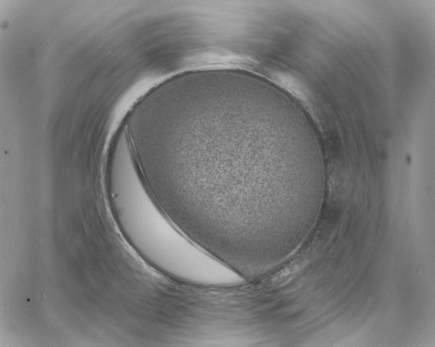 X0000060791472200511171256