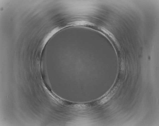 X0000060791473200511171256