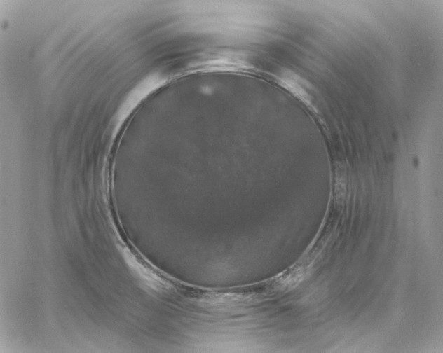 X0000060791474200511171256