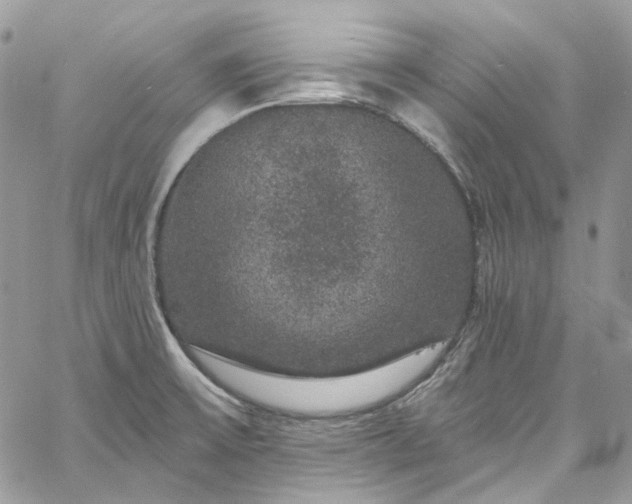 X0000060791475200511171256