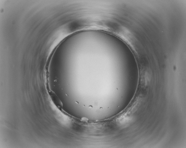 X0000060791476200511171255