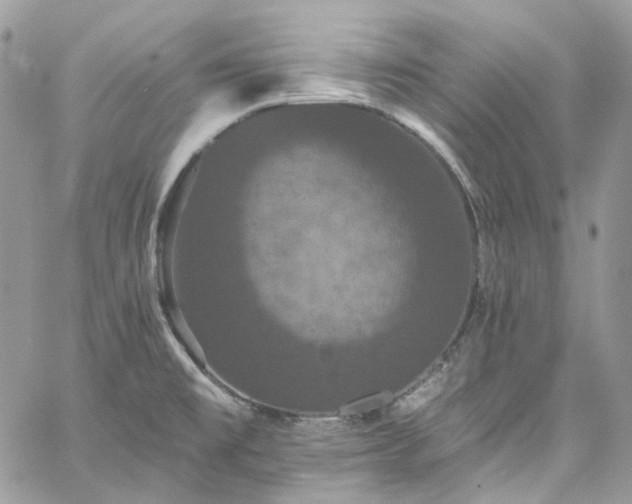 X0000060791477200511171255