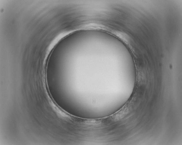 X0000060791478200511171255