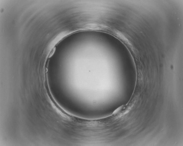 X0000060791479200511171255