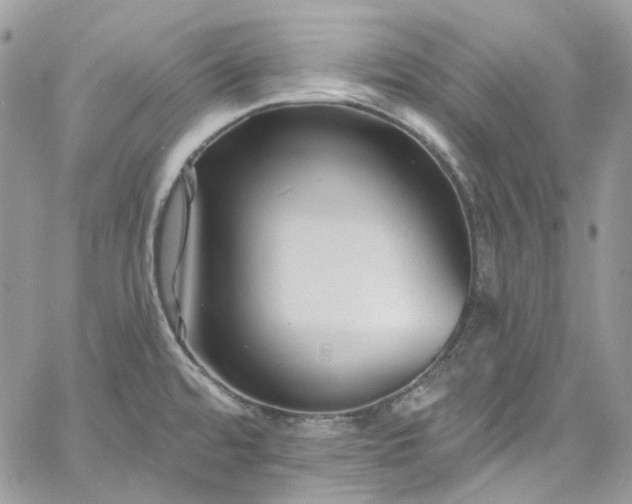 X0000060791480200511171255