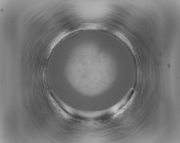 X0000060791481200511171255