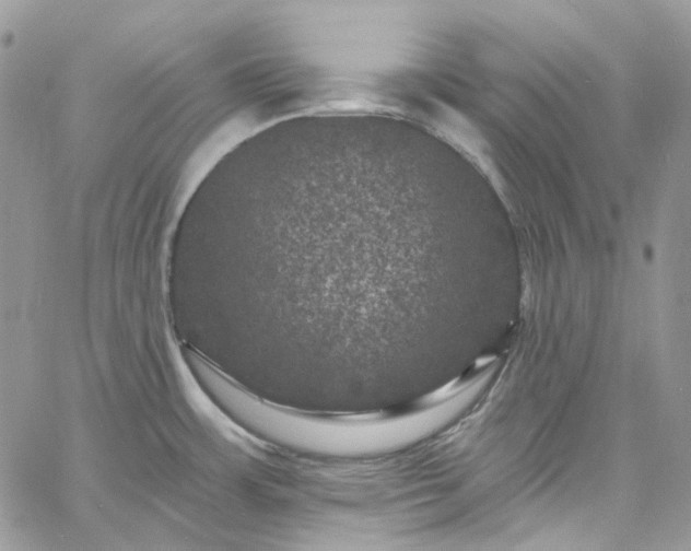 X0000060791483200511171255