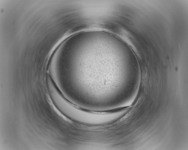 X0000060791484200511171255