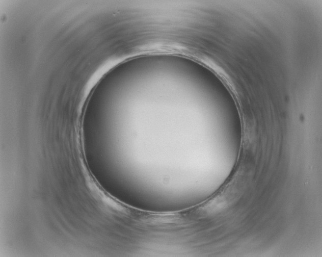 X0000060791486200511171255