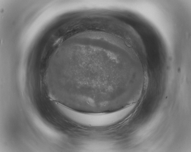 X0000060791487200511171255