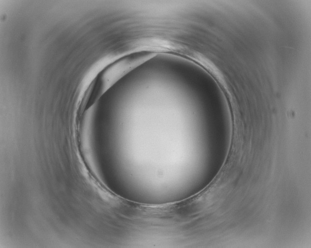 X0000060791488200511171255