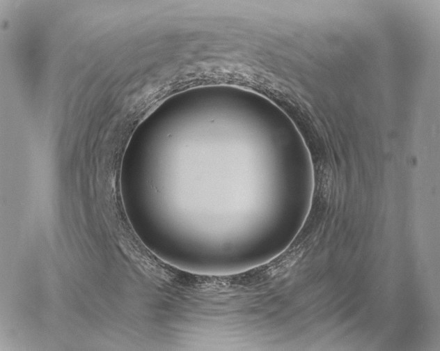 X0000060791489200511171255