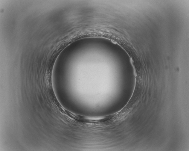 X0000060791490200511171255