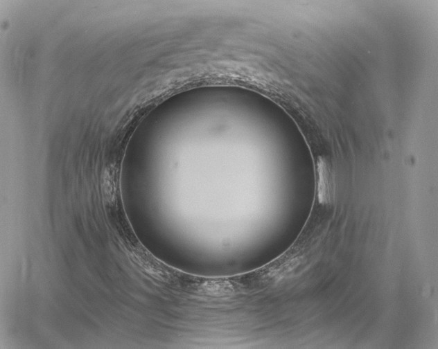 X0000060791491200511171255