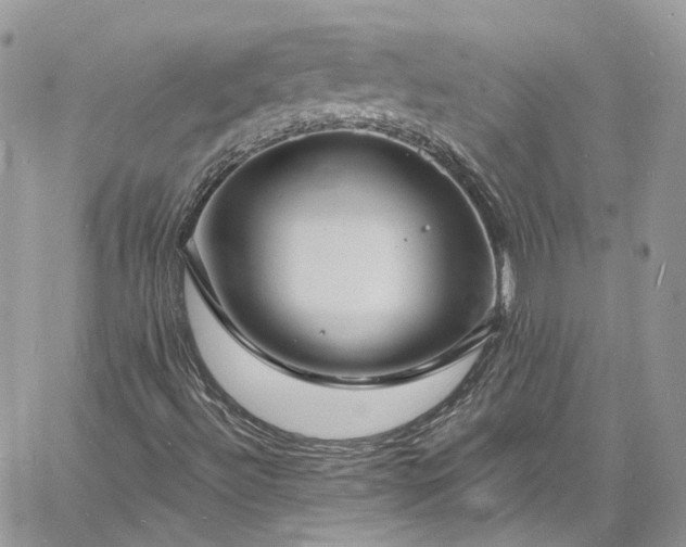 X0000060791492200511171255