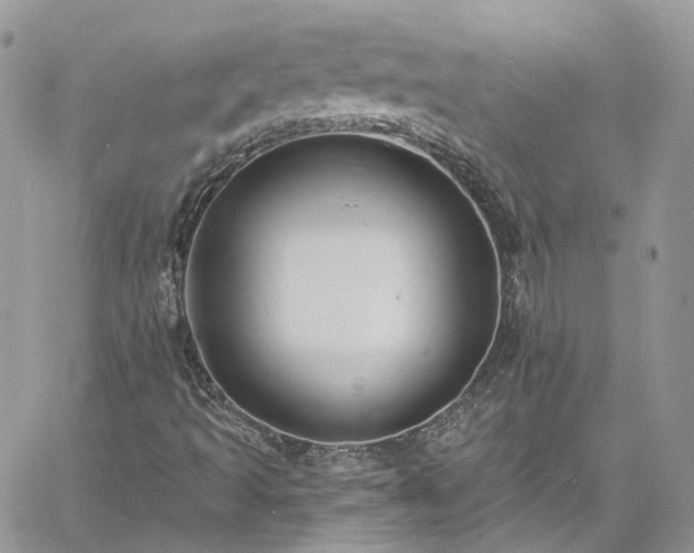 X0000060791493200511171255