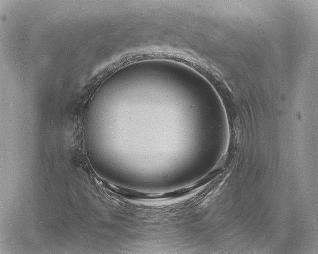 X0000060791494200511171255