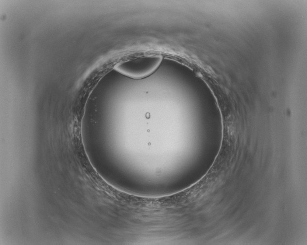 X0000060791495200511171255