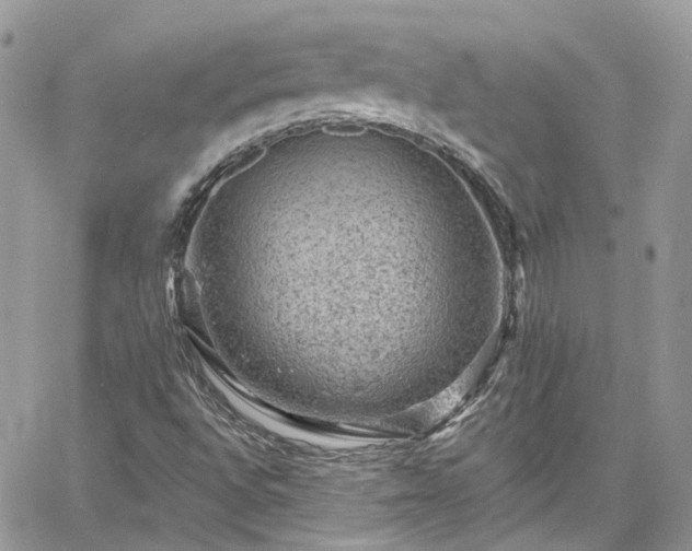 X0000060791496200511171255