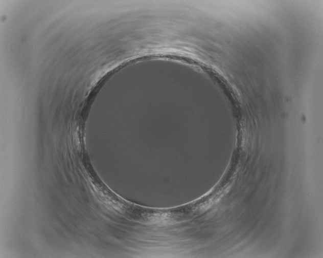 X0000060791497200511171255