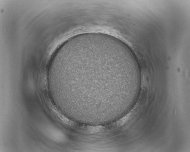 X0000060791498200511171255