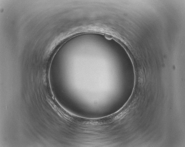 X0000060791499200511171255