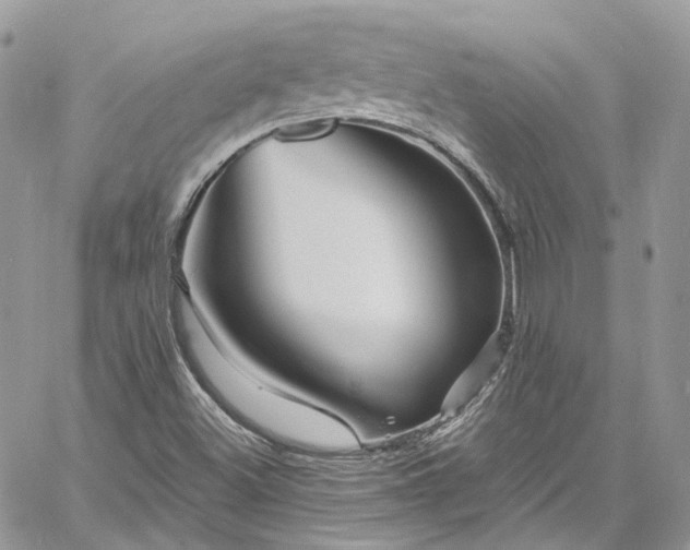 X0000060791500200511171255