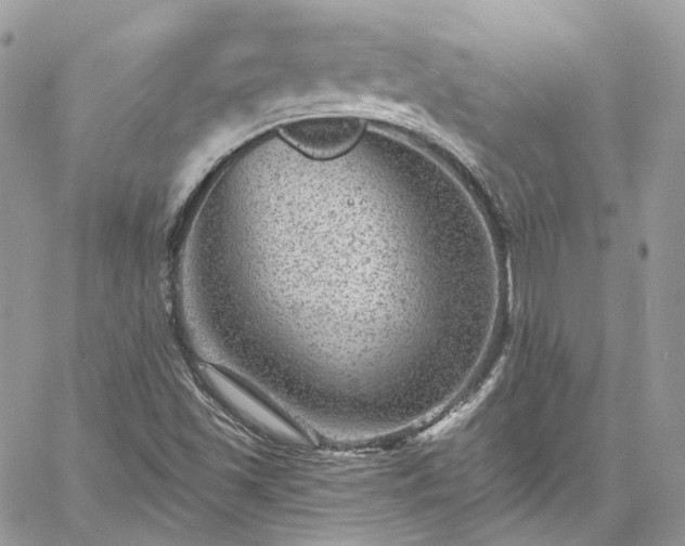 X0000060791501200511171255