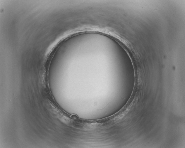 X0000060791502200511171255