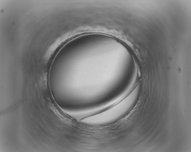 X0000060791503200511171255