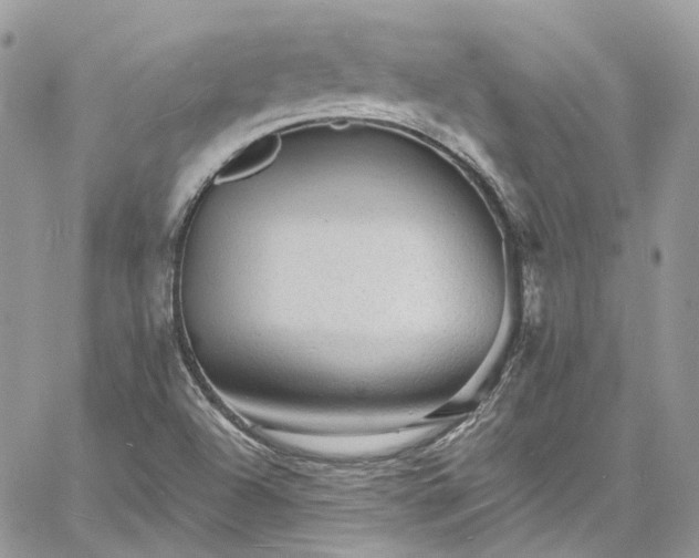 X0000060791504200511171255