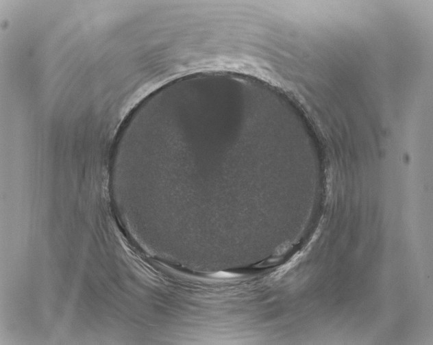 X0000060791505200511171255