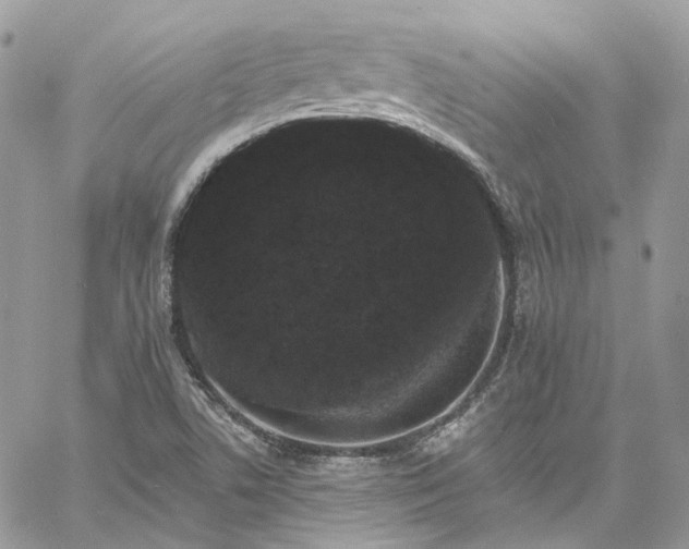 X0000060791506200511171255