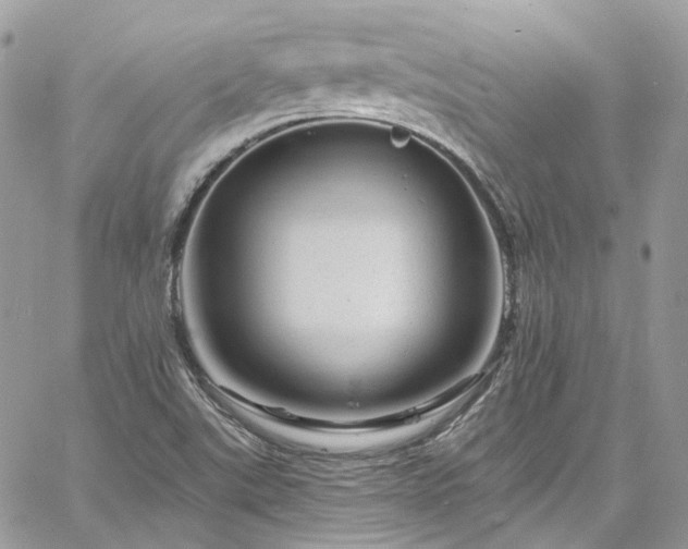 X0000060791507200511171255