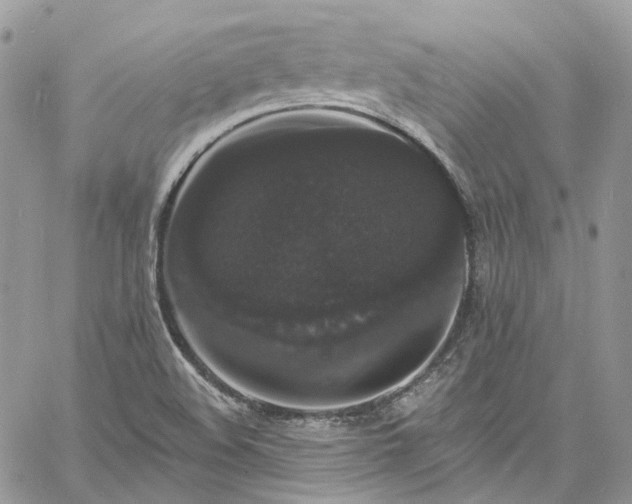 X0000060791508200511171255