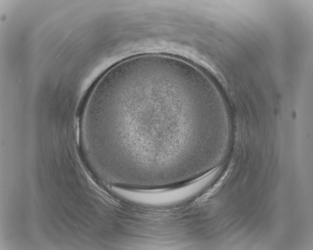 X0000060791509200511171255