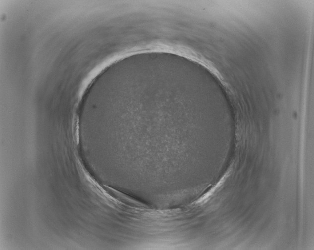 X0000060791510200511171255