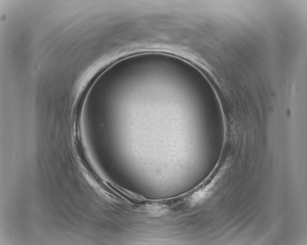 X0000060791511200511171255