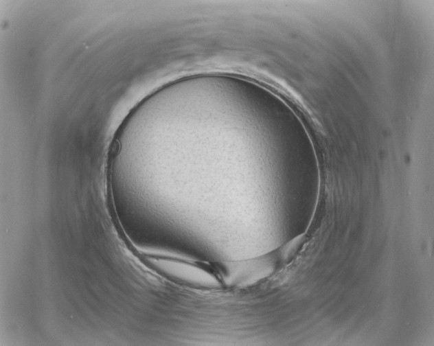 X0000060791512200511171255