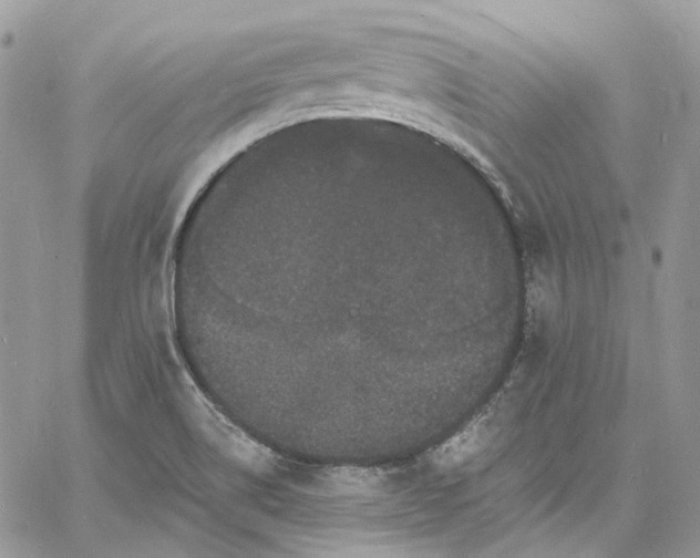 X0000060791514200511171255