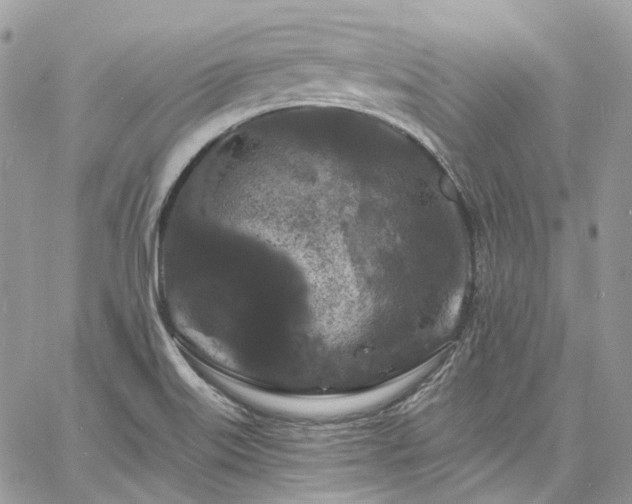 X0000060791515200511171255