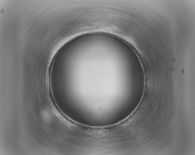 X0000060791516200511171255