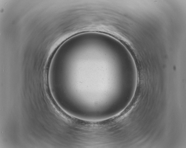 X0000060791517200511171255