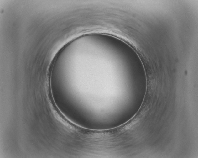 X0000060791518200511171255