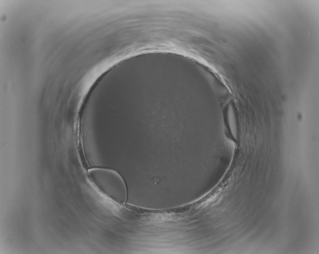 X0000060791519200511171255