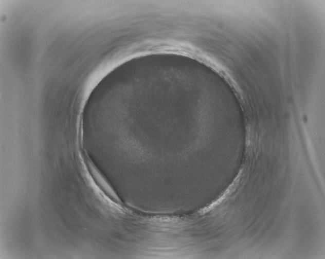 X0000060791520200511171255