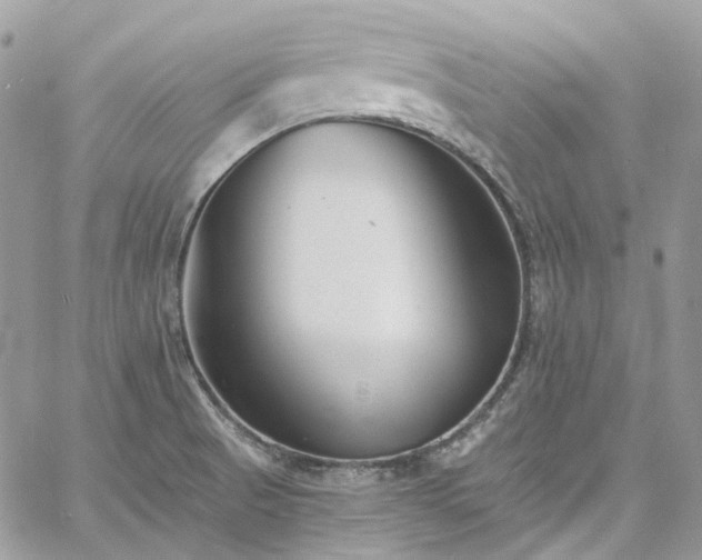 X0000060791521200511171255