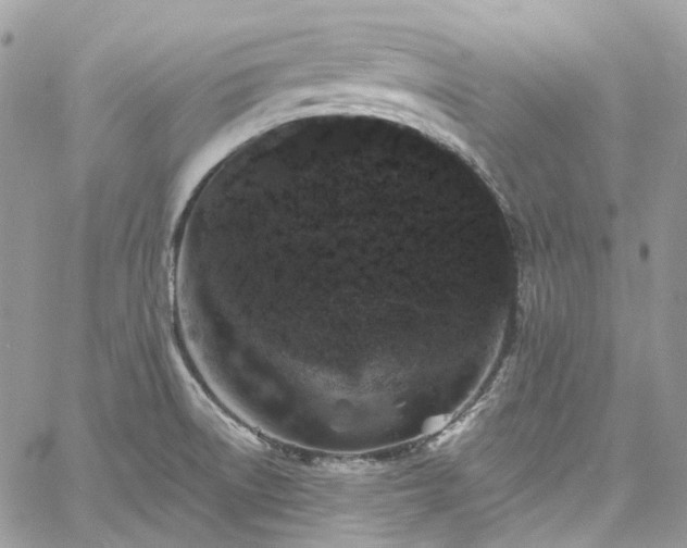 X0000060791522200511171255