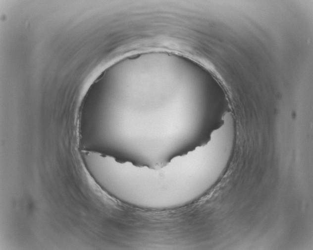 X0000060791524200511171255