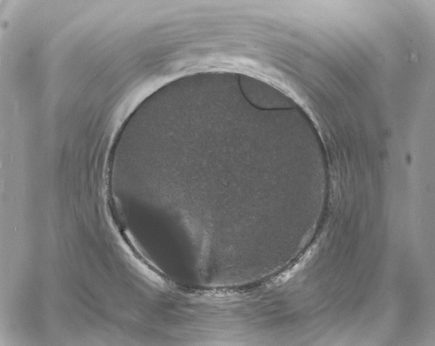 X0000060791525200511171255